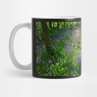 Evening Light in the Durham Bluebell Wood Mug